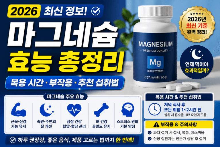 마그네슘 효능 및 섭취 가이드